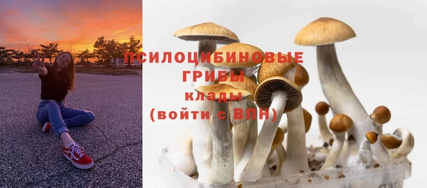 гидропоника Абдулино