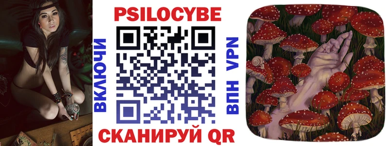 закладка  Александров  omg онион  Галлюциногенные грибы Psilocybe 